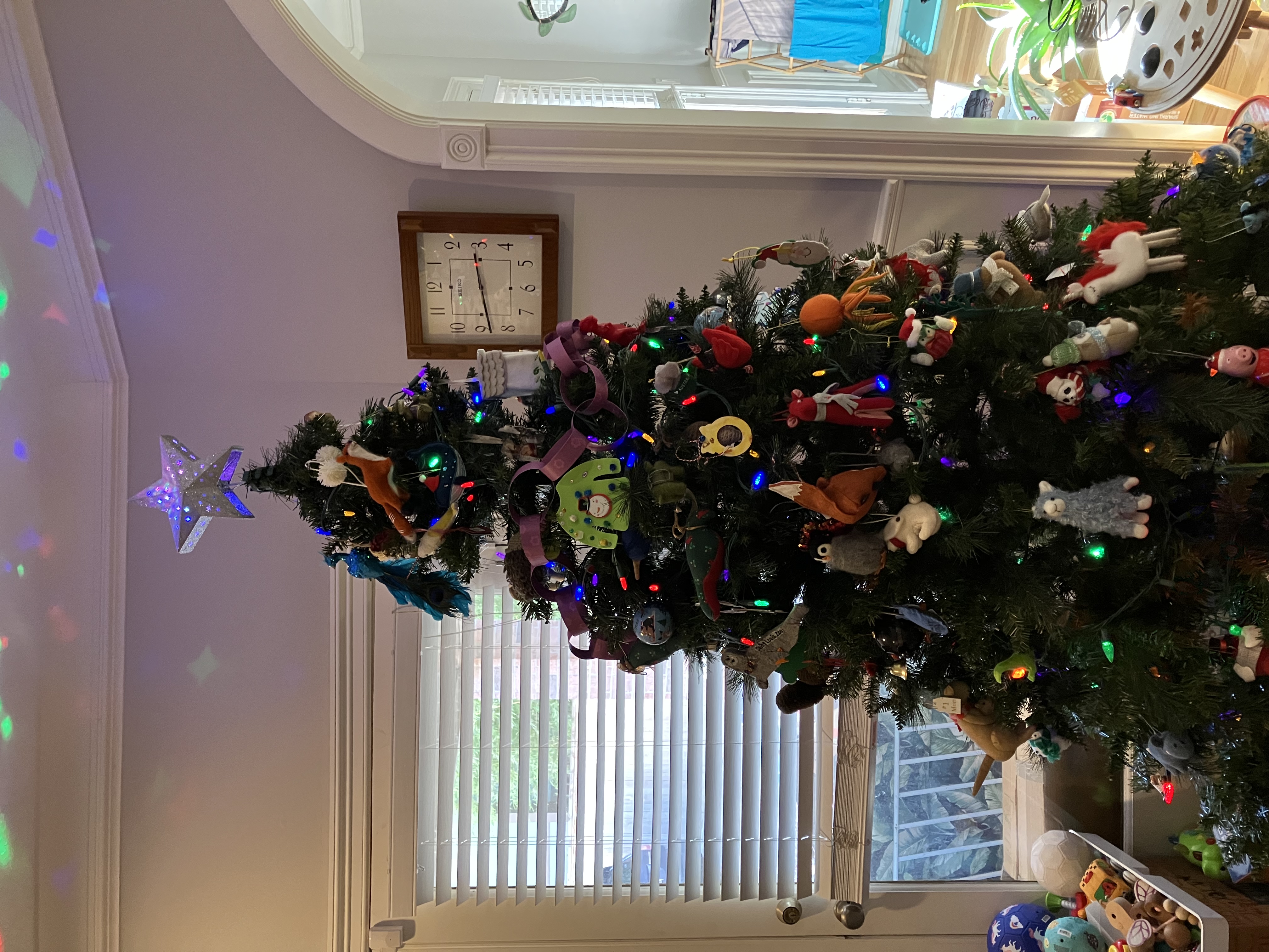 picture of main tree